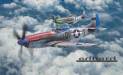 1/72 P-51D Aces of the Eighth Dual Combo LE