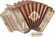 Musical Instruments Accordion