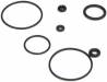 Carburetor & Backplate O-Rings .26 350 427 454