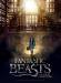 Poster Puzzle Fantastic Beasts 500pc